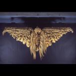 Thumbnail for Bird of Prey