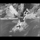 Thumbnail for Lapwing